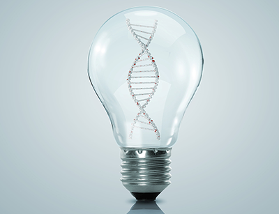 為什么泳池中有磷酸鹽？