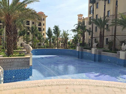 完美的別墅就應該有這么一個游泳池