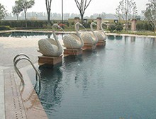 不同泳池設備之間竟然還有這些區別?