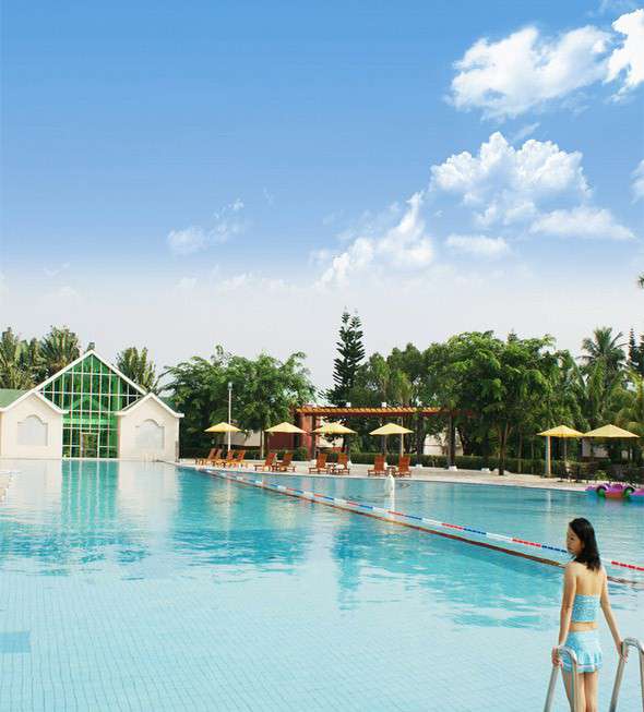 學校/標準泳池案例